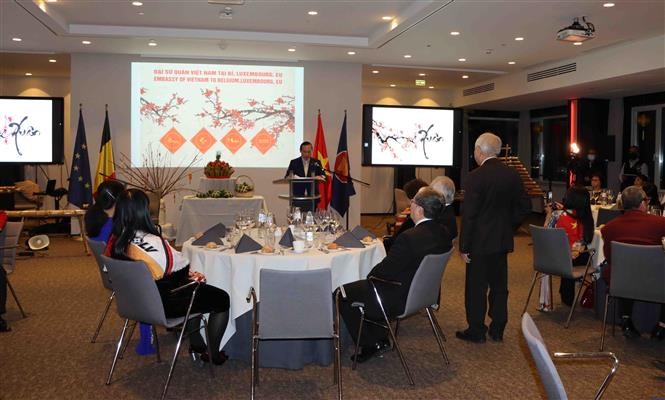 Overseas Vietnamese in Belgium, Luxembourg help enhance EU-Vietnam ties